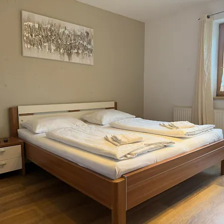 Schmittenblick Apartment
