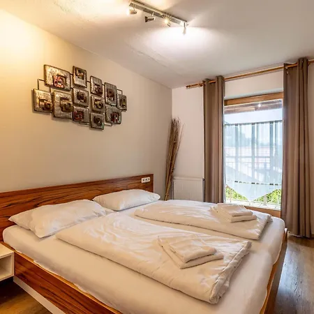 Schmittenblick Apartment *