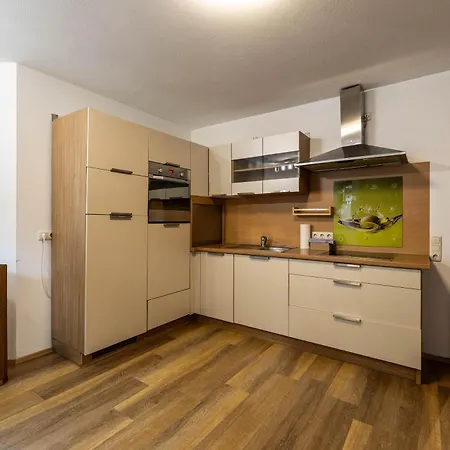 Apartment Schmittenblick